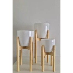 Stylish Plant Stands