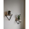 Wall Mounted Shelves